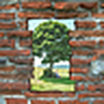 Profile Picture of Ikonotekton (@ikonotekton) on Flickr