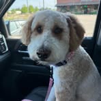 Profile Picture of Dean Behrendt (@dean.behrendt.18) on Facebook