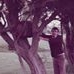 Profile Picture of Harry Pearson (@harry.pearson.587) on Facebook