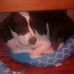 Profile Picture of William Thornton (@william.thornton.5686) on Facebook