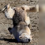 Profile Picture of David Burbey (@David-Burbey) on Facebook