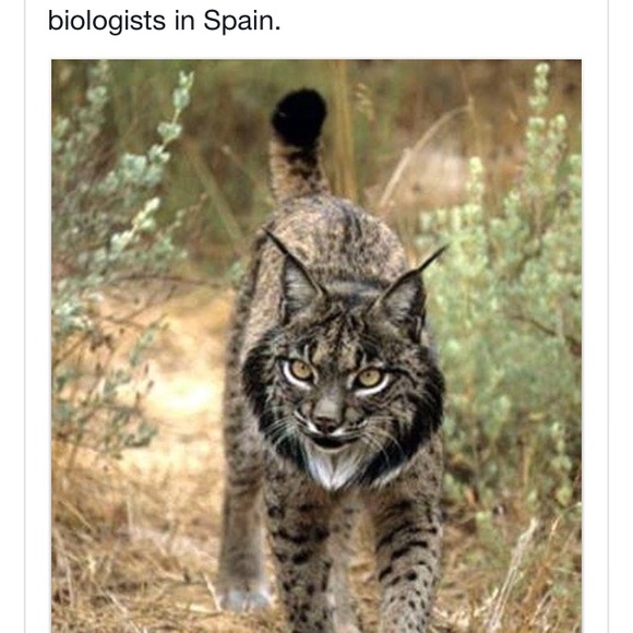 Profile Picture of Sandy Kurka (@skurka00) on Poshmark