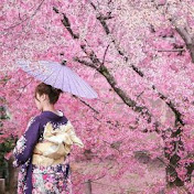 Profile Picture of Joseph Mckinney (@josephmckinney1908) on Youtube