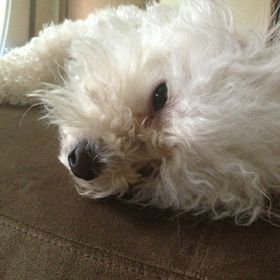 Profile Picture of Alexandra Middleton (@20akm01) on Pinterest