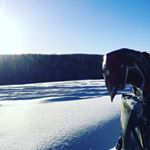 Profile Picture of David Lindgren (@lindgrendavid) on Instagram