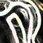 Profile Picture of Joey Ward (@oraleine1352) on Flickr