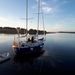 Profile Picture of Joyce Wiesner (@joycewiesner) on Pinterest