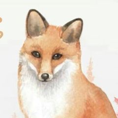 Profile Picture of Forest Fox (@forestfoxcrochet) on Tiktok