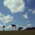 Craig Michal - Instagram Profile Picture of Craig Michal (@craigmichal) on Instagram