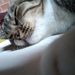 Profile Picture of Bianca de Souza Ramos (@biancadesouzaramos49) on Pinterest