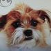 Profile Picture of Randy Hollenbeck (@randy.hollenbeck.35) on Facebook