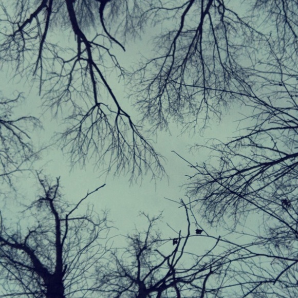 Profile Picture of Savannah Kerr (@srttttt08) on Poshmark