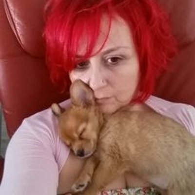 Profile Picture of Lisa Rosen (@lisarosen333) on Twitter
