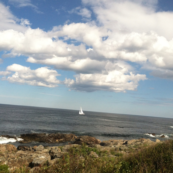 Joanne Muckenhoupt - Poshmark Profile Picture of Joanne Muckenhoupt (@joannemuck) on Poshmark