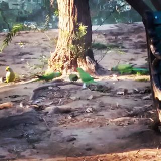 Profile Picture of Sam Can (@sam.can.9212) on Facebook