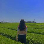 Profile Picture of 김다현 (@dahn___) on Instagram