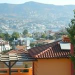 Profile Picture of Joy Livanos-Mullane (@livanosmullane) on Instagram