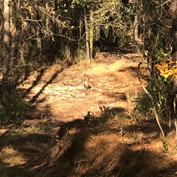 Profile Picture of Brian Perry (@bwp6274) on Poshmark