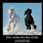 Profile Picture of Jimmy Renè Vàsquez (@jimreto2) on Instagram