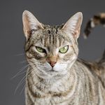 Profile Picture of Marilyne Ragon (@coeur.blanc700) on Instagram