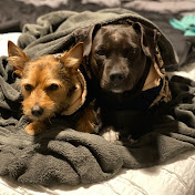 Profile Picture of Mike Scudder (@mikescudder1073) on Youtube