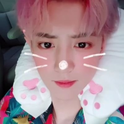 Profile Picture of Thoa Nguyễn (@ThoaNguyn92) on Twitter
