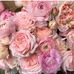 Profile Picture of Briar Hall (@briar.hall.5) on Facebook