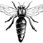 Profile Picture of Honey Love (@@honeyloveorg) on Tiktok