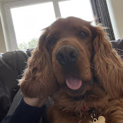 Profile Picture of Matip (@Matipp32) on Youtube