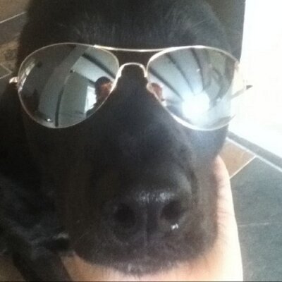 Kyle Folks - Twitter Profile Picture of Kyle Folks (@K_Folksy) on Twitter