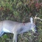 Profile Picture of Tony Creech (@creech88) on Twitter