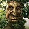 Profile Picture of Paul karr (@bearlover69420) on Tiktok
