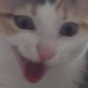 Profile Picture of Andrew Moreland (@andrewmoreland8604) on Youtube