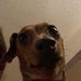 Profile Picture of Ericaspugh (@Erica_ricky) on Pinterest