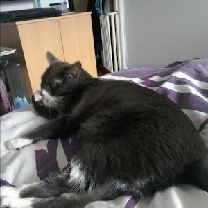 Profile Picture of David Younger (@david.younger) on Tiktok