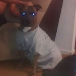 Profile Picture of andrew leyba (@creamy_pudding) on Instagram