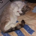 Profile Picture of papa_maman_mickey_mon_homme (@papa_maman_mickey_mon_homme) on Instagram