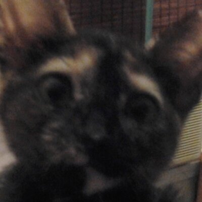 Profile Picture of Gloria Aguirre (@gloriaaguirre24) on Twitter