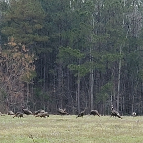 Profile Picture of Paul Beyer (@paulyiii) on Poshmark