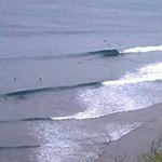 Profile Picture of Steve Nakamura (@nakamurasteve) on Instagram