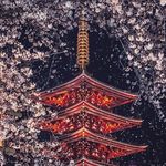 Melinda Renard - Instagram Profile Picture of Melinda Renard (@renardmelinda) on Instagram