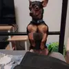Profile Picture of Heather Kisor (@heather.kisor7) on Tiktok