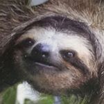 Profile Picture of Zachary Cline (@kamikaze_cline) on Instagram