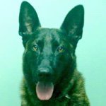 Profile Picture of Richard Eldon (@shof76) on Instagram