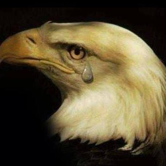 Profile Picture of Brian Henson (@brianhenson) on Poshmark