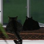 Profile Picture of Beverly Thompson (@beverly.thompson.948) on Instagram