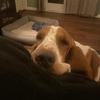 Profile Picture of Andrea Harmon (@@andreaharmon40) on Tiktok