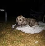 Profile Picture of Michael Deault (@michael.deault.1) on Facebook