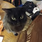 Profile Picture of Curtis Caldwell (@curtis.caldwell.779837) on Facebook