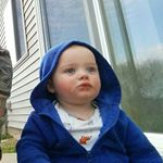 Kyle Schultz - Instagram Profile Picture of Kyle Schultz (@style_harley) on Instagram